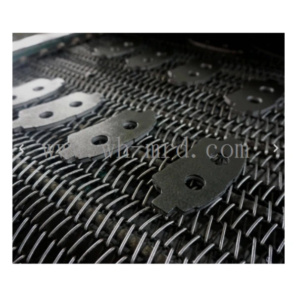 Placa de suport de xapa d'acer de fre